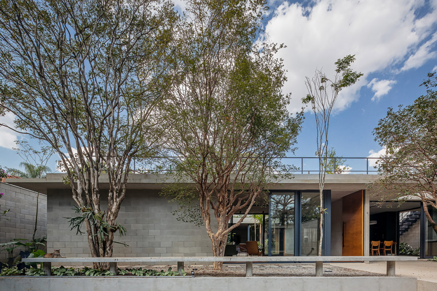 Single Tree Building Single-Storey House Preserves Existing Fruit Trees | Architropics